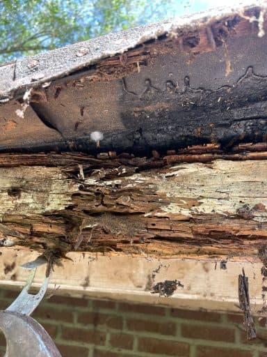 Dakrand renovatie schuur Huissen - Houtrotherstel foto 3